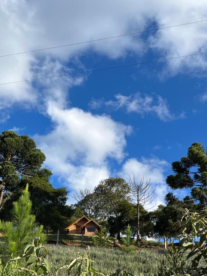 Lodge Pinheiros Da Mantiqueira *