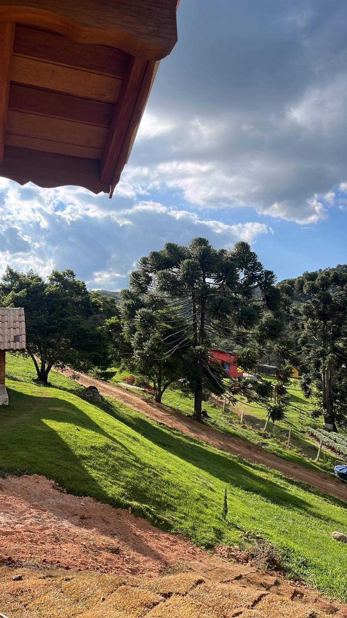 Pinheiros Da Mantiqueira
