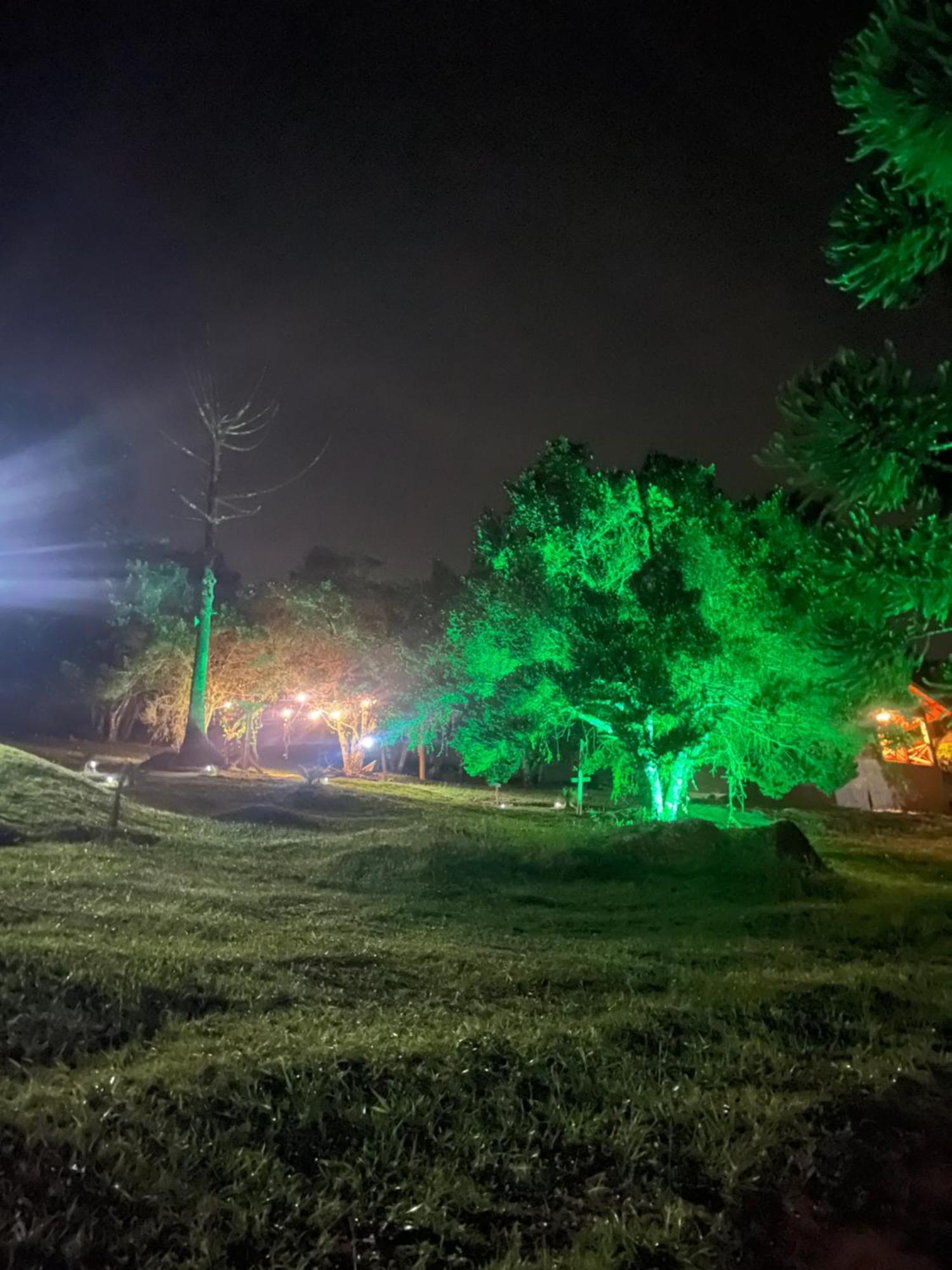 Pinheiros Da Mantiqueira *