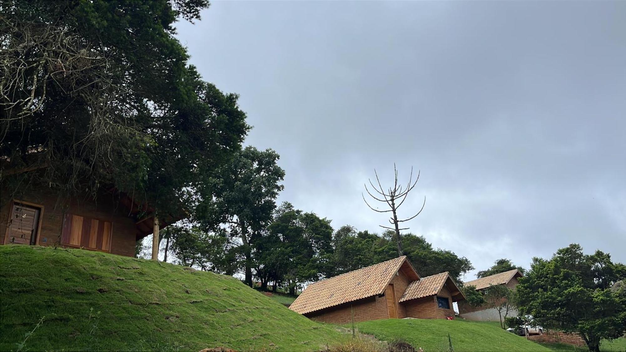 Pinheiros Da Mantiqueira